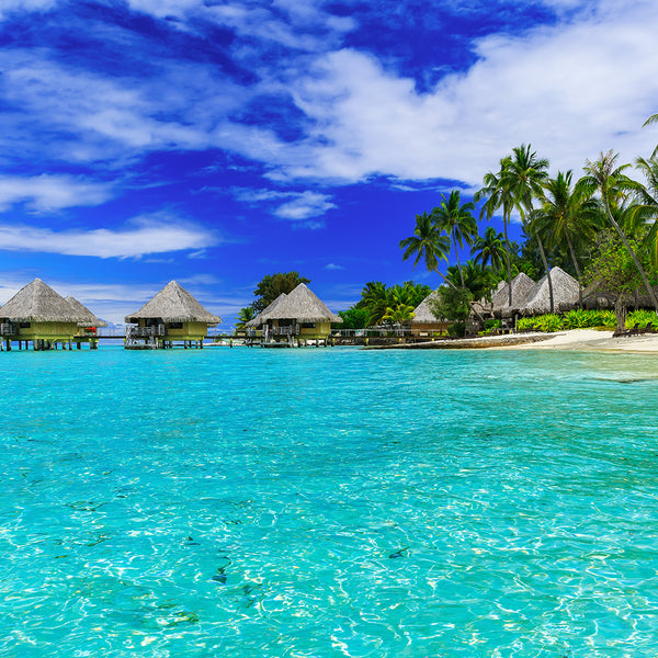 Meet Me in Tahiti* Fragrance Oil (Special Order)