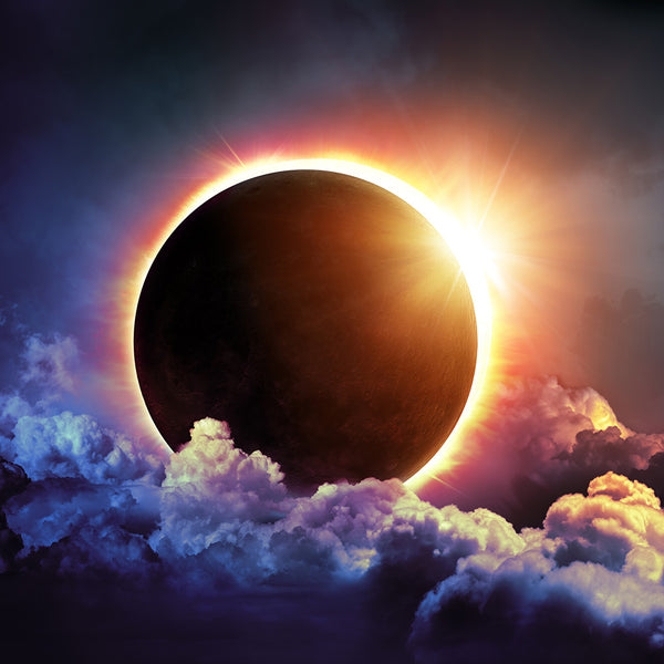 Blackout Fragrance Oil 463