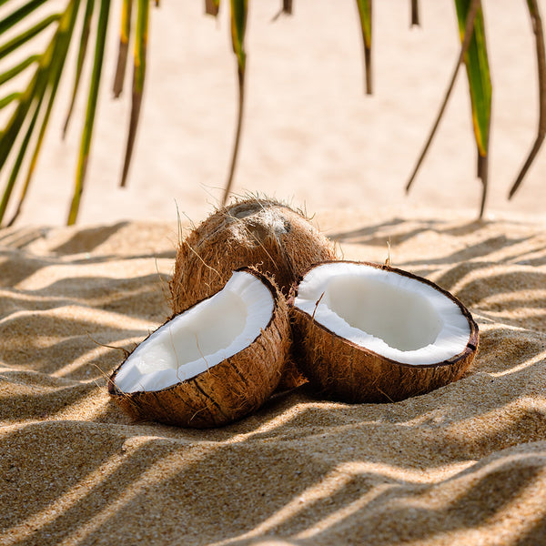 Coconut Sands Fragrance Oil 22197