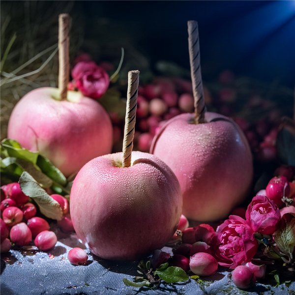 Whimsical Witchcraft Fragrance Oil Collection