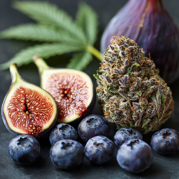 Indigo Fig & Velvet Kush Fragrance Oil 885