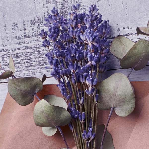 Lavender Eucalyptus Fragrance Oil 1284