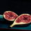 Midnight Woods & Fig Fragrance Oil 1278