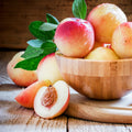 Nectarine Creme Fragrance Oil 588
