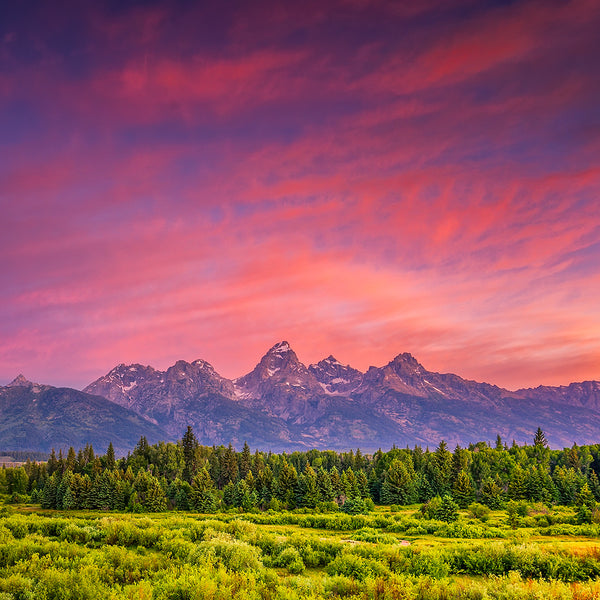 Pink Sky Fragrance Oil 22198