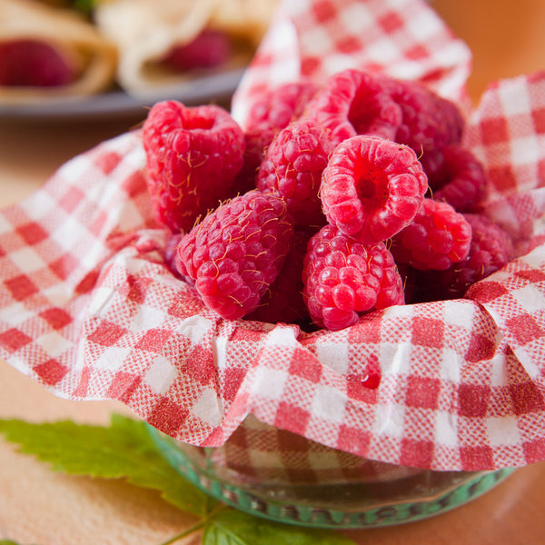 Raspberry Gingham - Natural Fragrance Oil