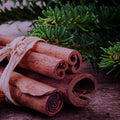 Santal Evergreen Fragrance Oil 1285