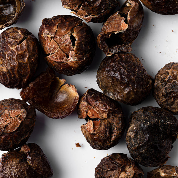 Soap Nuts