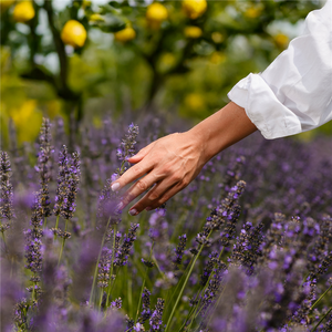 Take a Beat Fragrance Oil 799