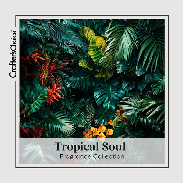 Tropical Soul Fragrance Oil Collection - Zoom Media 1