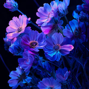 Ultraviolet Blooms Fragrance Oil 370