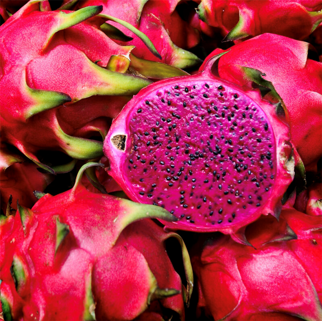 Viva Magenta Fragrance Oil 1093