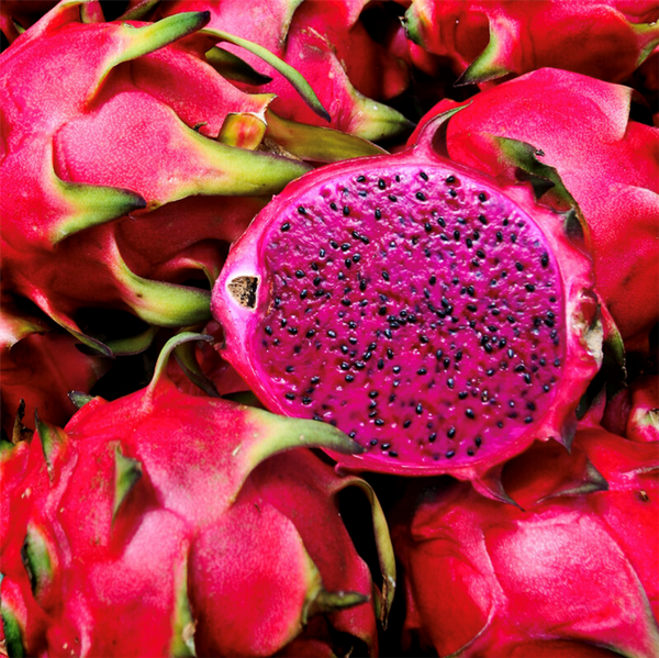 Viva Magenta Fragrance Oil 1093 - Zoom Media 1