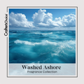 Washed Ashore Fragrance Oil Collection