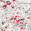 Winterberry Walk Fragrance Oil 1283