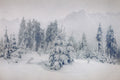 Arctic Night Fragrance Oil 14933