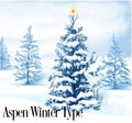 Aspen Winter Fragrance Oil 19791