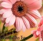 Beautiful Days Fragrance Oil 19813 - Zoom Thumbnail Media 1