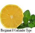 Bergamot & Coriander Fragrance Oil 19817