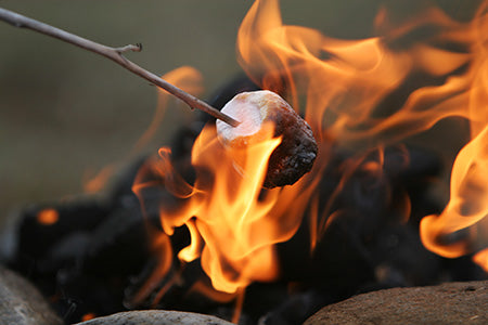 Campfire Marshmallow Fragrance Oil 15143