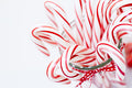 Candy Cane Fragrance Oil 15150