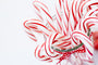 Candy Cane Fragrance Oil 15150