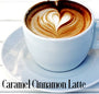 Caramel Cinnamon Latte Fragrance Oil 19887