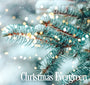 Christmas Evergreen Fragrance Oil 19911 - Zoom Thumbnail Media 1