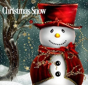 Christmas Snow Fragrance Oil 19918 - Zoom Media 1
