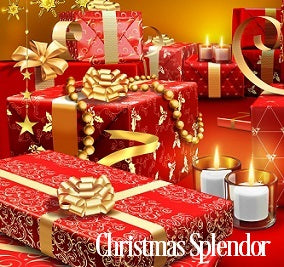 Christmas Splendor Fragrance Oil 19919 - Zoom Media 1