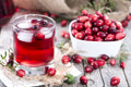 Cranberry Collins Fragrance Oil 15366