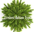 Freshest Balsam Fragrance Oil 20021