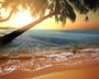 Golden Sands Fragrance Oil 15597