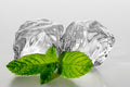 Icy Peppermint Fragrance Oil 15672