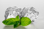 Icy Peppermint Fragrance Oil 15672