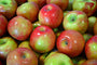 Macintosh Apple (KY) Fragrance Oil 15774
