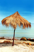 Malibu Heat Fragrance Oil 15782