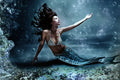 Mermaid Dreams Fragrance Oil 15809