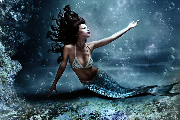Mermaid Dreams Fragrance Oil 15809