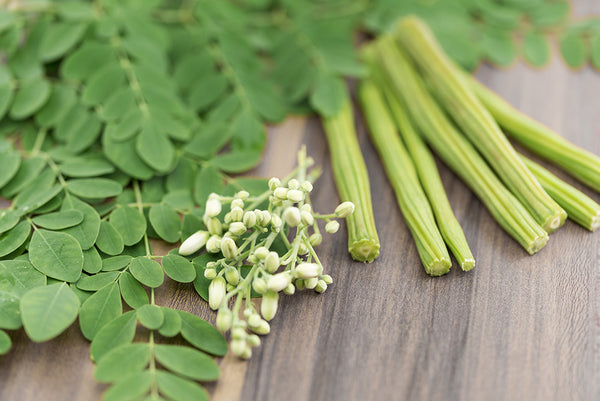 Moringa Fragrance Oil 15846