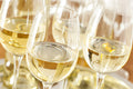 Moscato Fragrance Oil 15852