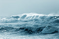Ocean Mist Fragrance Oil 15877