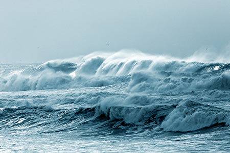 Ocean Mist Fragrance Oil 15877