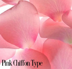 Pinkest Chiffon* Fragrance Oil 20217