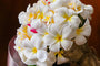 Plumeria Fragrance Oil 15991