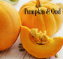 Pumpkin & Oud Fragrance Oil 20239