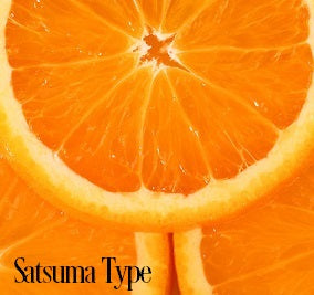Satsuma* Fragrance Oil 20284