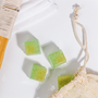 Single-Use Gym Bag Soap Recipe