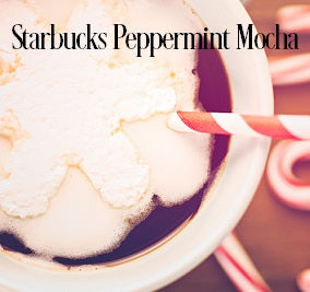 Peppermint Mocha Fragrance Oil 20310