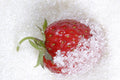 Sugared Strawberries Flavor Oil 16120